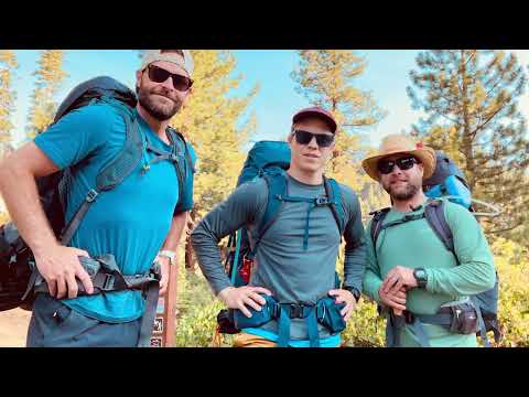 Your Travels